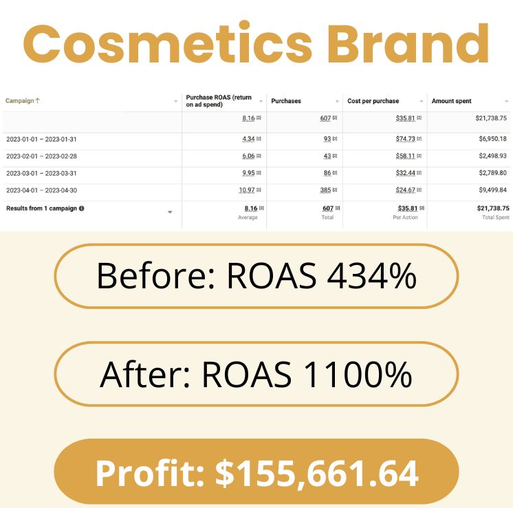 Cosmetics Brand Ecommerce PPC Results