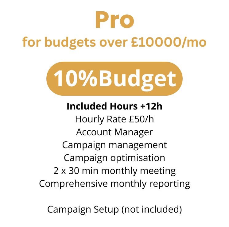 Pro Ecommerce PPC Management Service Plan