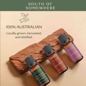 Multilingual Ecommerce PPC Agency London cosmetics retail client